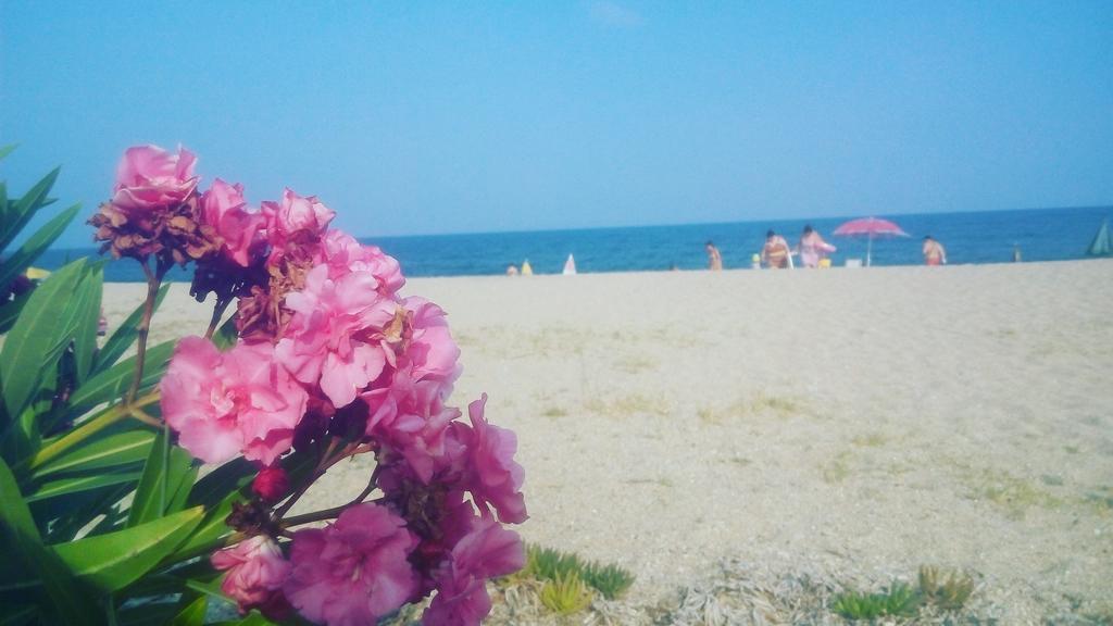 Island Apartments Vrasná Екстериор снимка